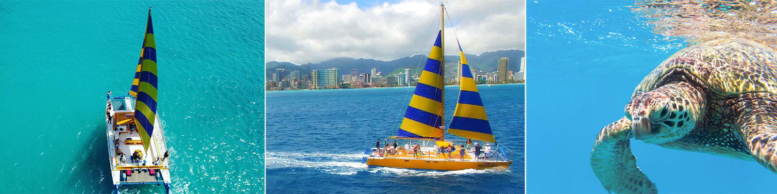Manu Kai Waikiki Snorkel with Turtles Cruise Coupons