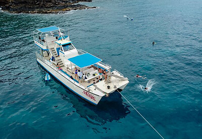 Maui Magic Dolphin Discovery Snorkel Tour Coupons