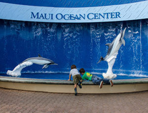 Maui Ocean Center Aquarium Coupons