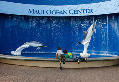 Maui Ocean Center Aquarium Coupons