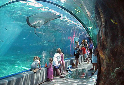 Maui Ocean Center Aquarium Coupons