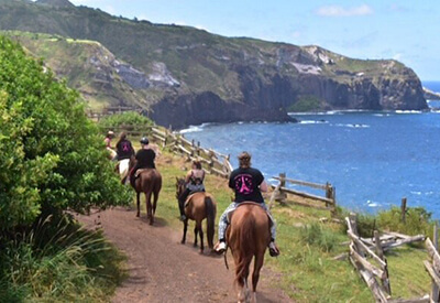 Mendes Ranch Trail Rides Maui Coupons