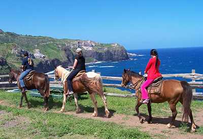 Mendes Ranch Trail Rides Maui Coupons