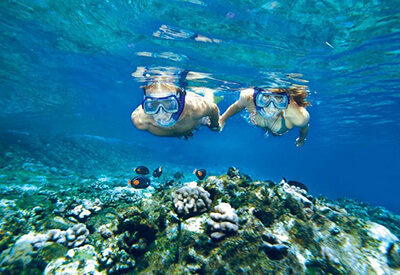 Molokini Turtle Arches Snorkel Cruise Coupons