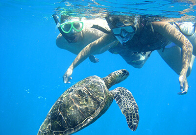 Molokini Turtle Arches Snorkel Cruise Coupons