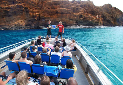 Molokini Wild Side Tour Coupons