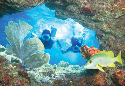 Morning Reef Snorkeling aboard the Fury Coupons