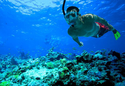 Morning Reef Snorkeling aboard the Fury Coupons