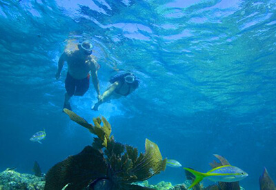 Morning Reef Snorkeling aboard the Fury Coupons