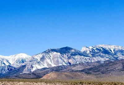 Mount Charleston Coupons