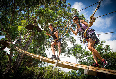 Northshore Zipline Canopy Tours Maui Coupons