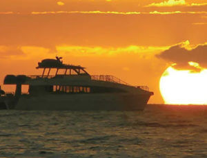Ocean Quest Lahaina Sunset Cruise Coupons