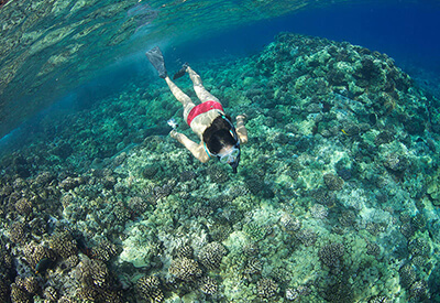 Ocean Spirit Honolua Bay Snorkel Sail Coupons