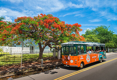 Old Town Trolley Tours of Key West Coupons