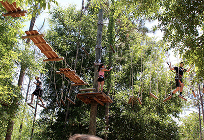 Orlando Tree Trek Adventure Coupons