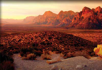 Red Rock Las Vegas Coupons