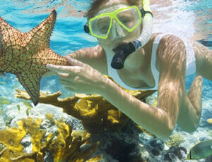Reef and Ritas Snorkeling Trip Coupons