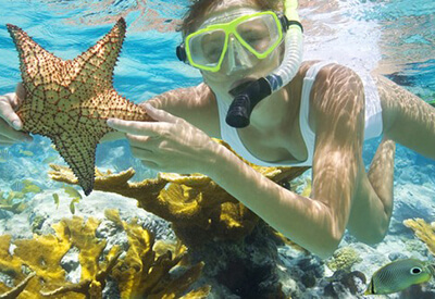 Reef and Ritas Snorkeling Trip Coupons