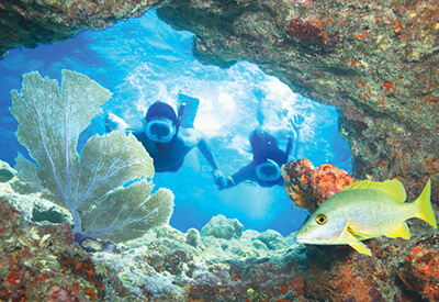 Reef and Ritas Snorkeling Trip Coupons