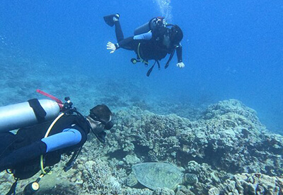 Scuba Diving Oahu SeaBreeze Watersports Coupons
