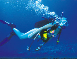 Scuba Diving Oahu SeaBreeze Watersports Coupons