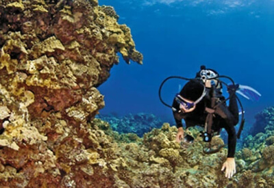 Scuba West Oahu Coupons