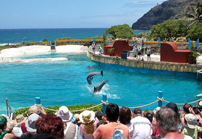 Sea Life Park Oahu Coupons