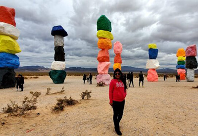 Seven Magic Mountains Tour Coupons