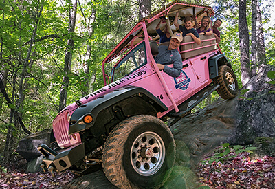 Sights and Sounds City Pink Jeep Tour Coupons