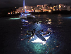 Sunset Cruise Night Manta Swim Hawaii Coupons