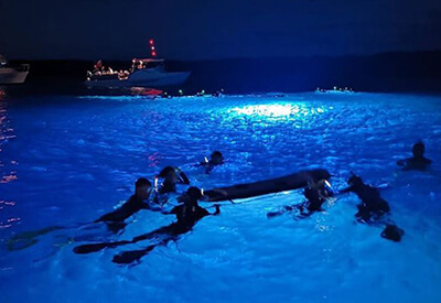 Sunset Cruise Night Manta Swim Hawaii Coupons