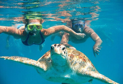 Turtle Reef Snorkel Oahu Coupons