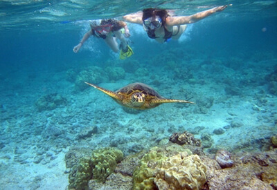 Turtle Snorkel Sail Lunch Oahu Coupons