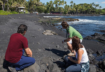 Twilight Volcano Adventure Hawaii Coupons