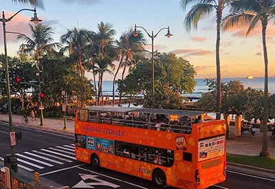 Waikiki Trolley Tours Coupons