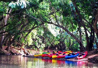 Wailua River Kayak Tour Coupons