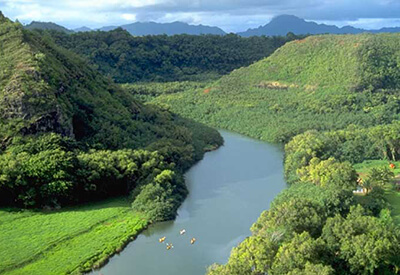 Wailua River Kayak Tour Coupons