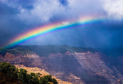 Waimea Canyon Experience Coupons