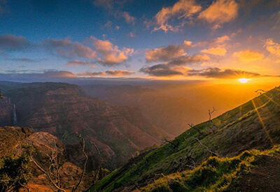 Waimea Canyon Experience Coupons