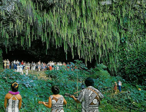 Waimea Canyon Fern Grotto Tour Kauai Coupons