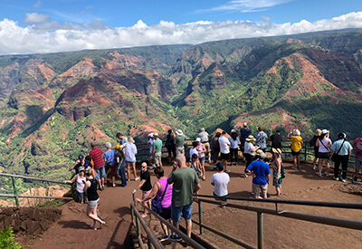 Waimea Canyon Tour Kauai Coupons