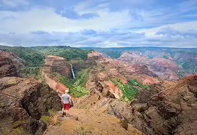 Waimea Canyon Wailua River Fern Grotto Adventure Coupons