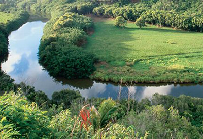 Waimea Canyon Wailua River Fern Grotto Adventure Coupons