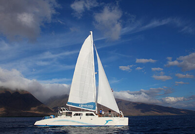 Whale Watch Sail Deluxe Maui Coupons