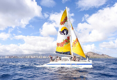 Whale Watch Waikiki Oahu Coupons