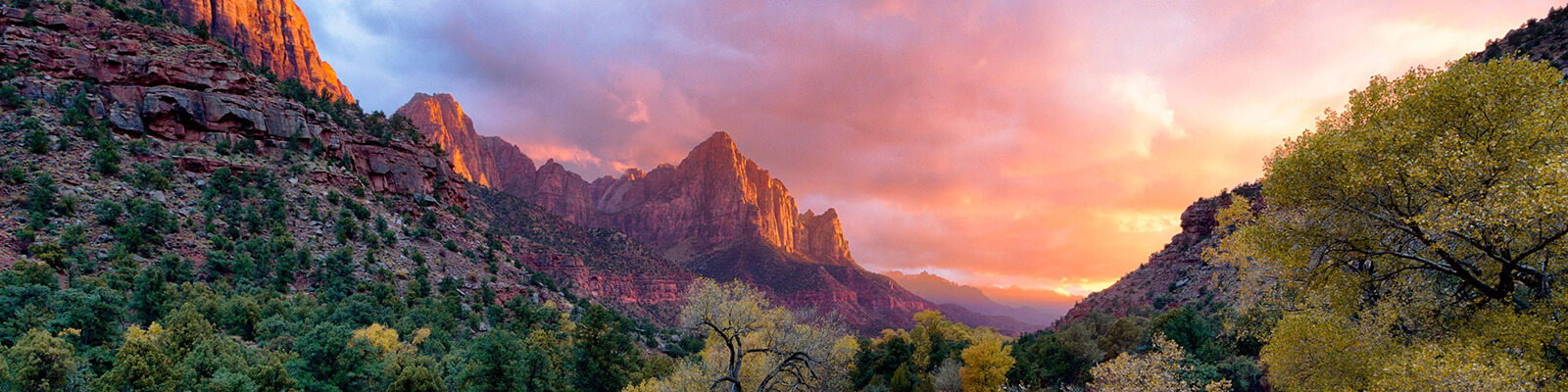 Zion National Park Coupons