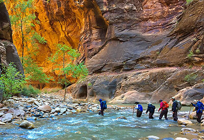 Zion National Park Coupons