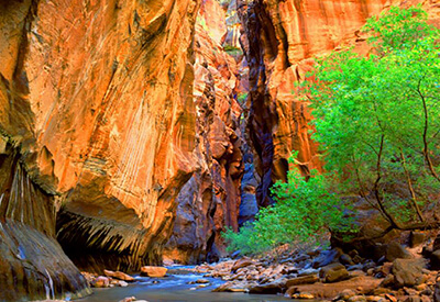 Zion National Park Tour Coupons