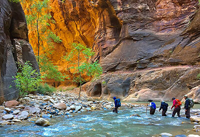 Zion National Park Tour Coupons