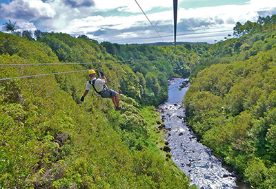 Zippin Volcano Hilo Hawaii Coupons